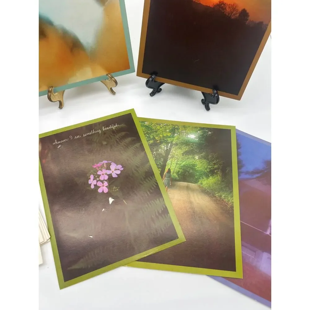 A Sunshine Card lot sunshine